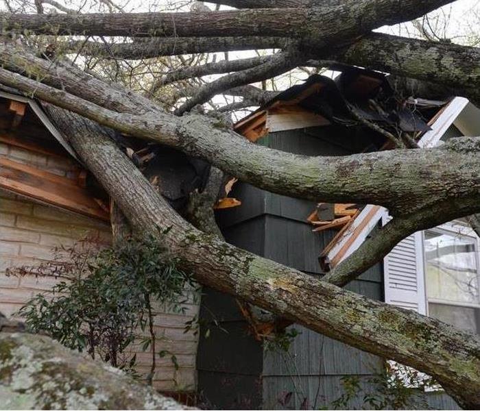 tree hit roof damaged house