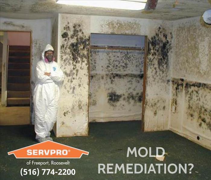 Mold Remediation Services